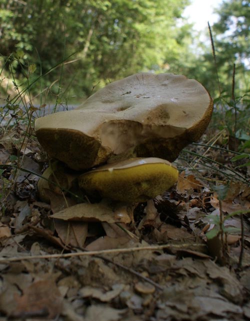 SUL MARGINE DI UNA STRADA